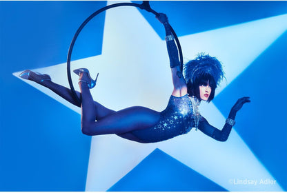 Westcott Optical Spot Lindsay Adler - Bowens Mount - GOBOs