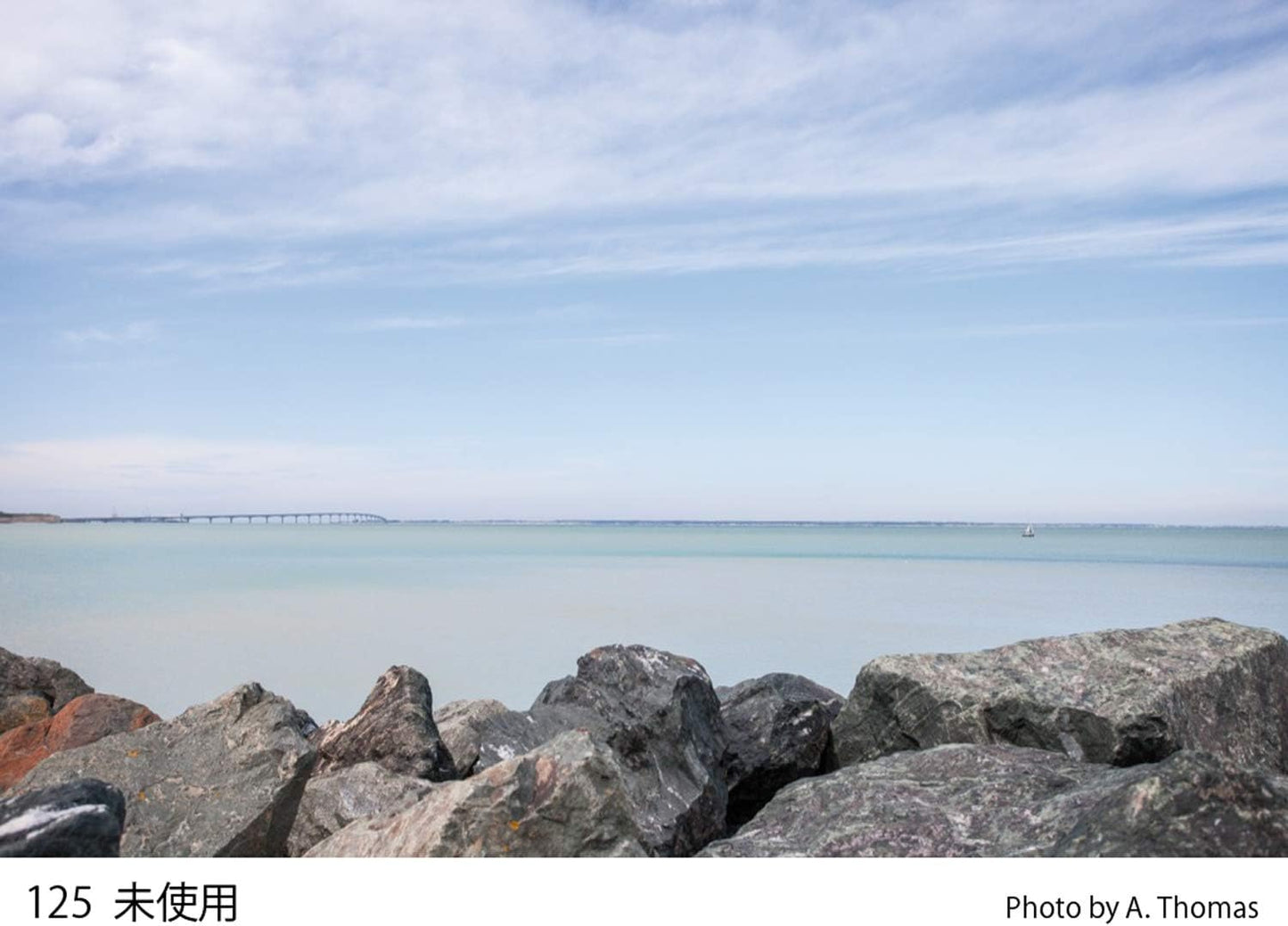 Cokin WA1T125 Creative Filter A125 Tobacco Graduated T2