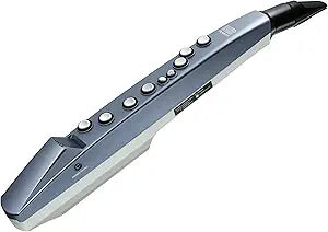 Roland AE-01 Aerophone Mini Digital Wind Instrument — main product image