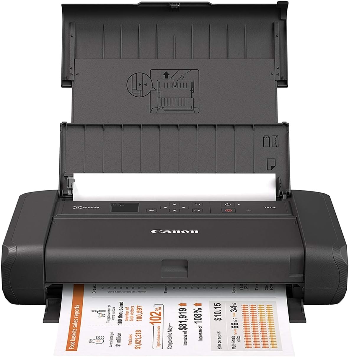 Canon PIXMA TR150 Wireless Portable Printer