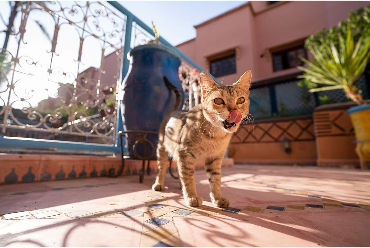 Tamron E7TM1728F28S 17-28mm f/2.8 E-Mount Lens Bundle