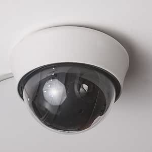 Neewer 52076253 Day/Night Vision IR Security Dome Camera