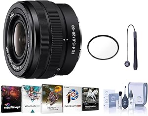 Sony FE 28-60mm f/4-5.6 Compact Zoom Lens — main product image