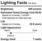 GE 41482 Relax LED R20 Dimmable Bulb 2-Pack