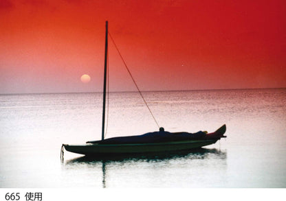 Cokin WA1T665 A665 Gradual Fluo Red 2 Filter