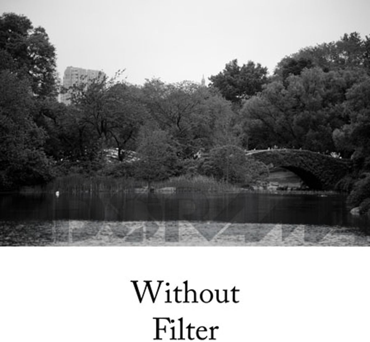 Tiffen 438Y2 43mm 8 Yellow 2 Filter - Black and White Photography