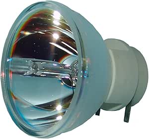InFocus SP-LAMP-072 Projector Replacement Lamp