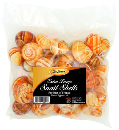 Roland RO601 Extra Large Snail Shells - 36 Count