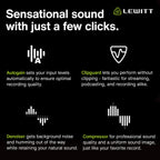 Lewitt CONNECT 2 XLR USB Audio Interface