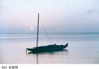 Cokin WA1T665 A665 Gradual Fluo Red 2 Filter