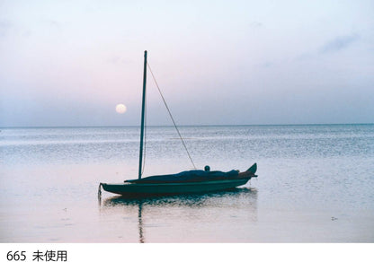 Cokin WA1T665 A665 Gradual Fluo Red 2 Filter