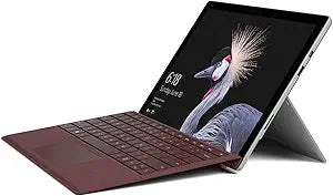 Microsoft 1TB7BR Surface Pro i7 1TB & Burgundy Keyboard