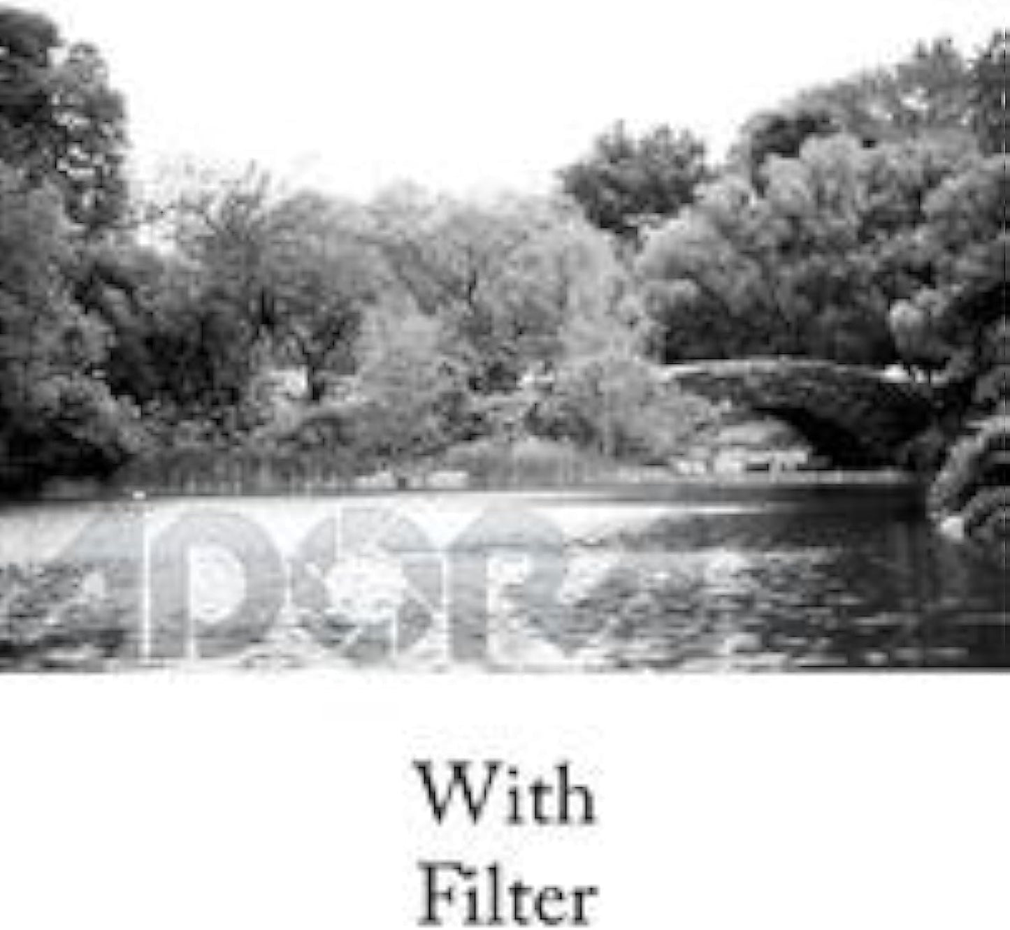 Hoya 0695 58mm HMC Screw-in Red Filter B&W Photography