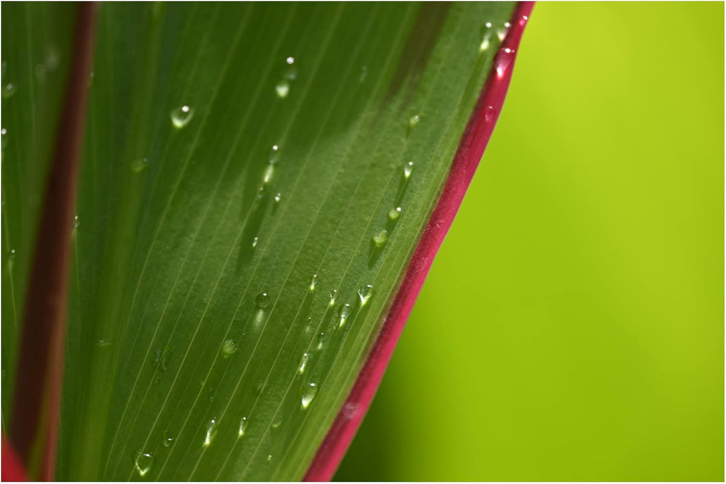 Nikon 20104 NIKKOR Z DX 18-140mm VR Lens