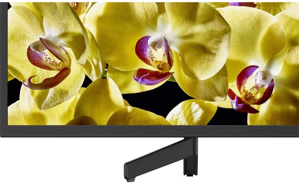 Sony E1SNXBR49X800G 49-Inch 4K HDR LED TV Bundle