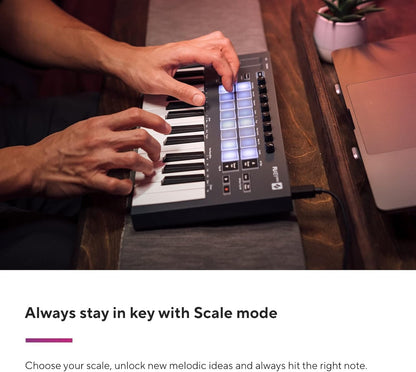 Novation AMS-FLKEY-MINI FLkey Mini: 25-Key MIDI Keyboard for FL Studio