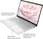 HP TPN-I139 17.3