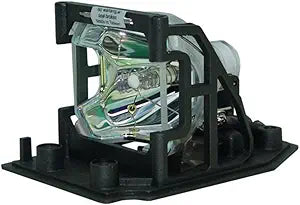 Philips 2940050 Projector Replacement Lamp with Housing