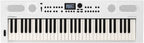 Roland GOKEYS5-WH 61-Note Music Creation Keyboard White