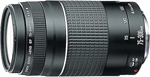 Canon 6473A003 EF 75-300mm Telephoto Zoom Lens