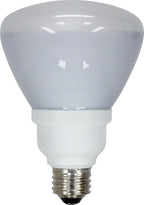 GE 21709 Energy Smart 15-Watt R30 CFL Floodlight