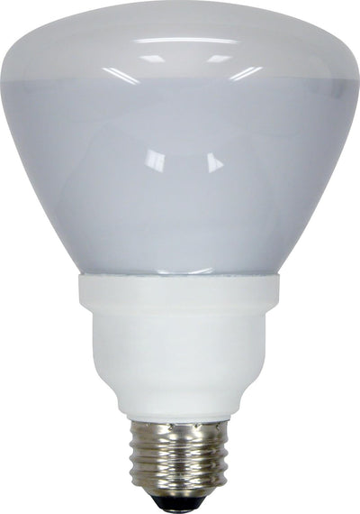 GE 21709 Energy Smart 15-Watt R30 CFL Floodlight