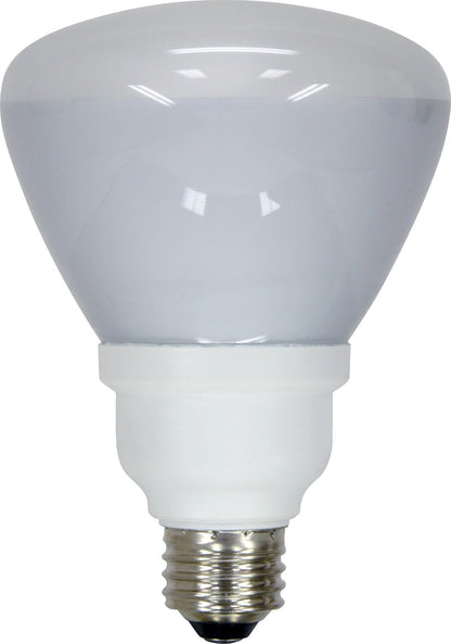GE 21709 Energy Smart 15-Watt R30 CFL Floodlight