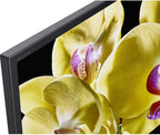 Sony XBR-49X800G 49-Inch 4K UHD Smart TV Bundle