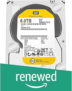Western Digital WD6001F9YZ-cr 6TB Enterprise HDD (Renewed)