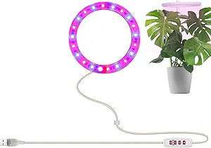 Dell Precision T7920 Bronze Xeon Workstation - Renewed