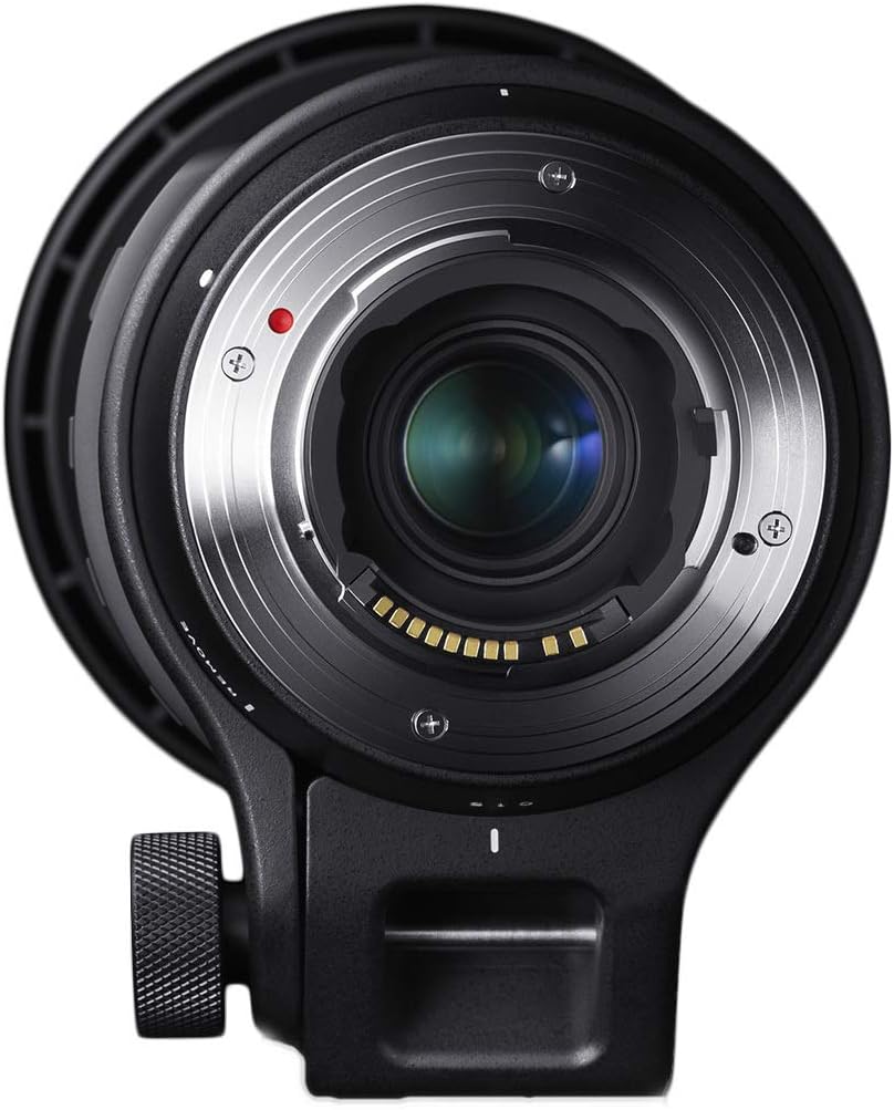 Sigma 150-600MM Canon Lens Contemporary DG OS HSM