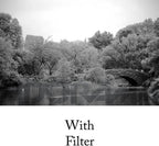 Tiffen 77mm 21 Orange Filter B&W Photography