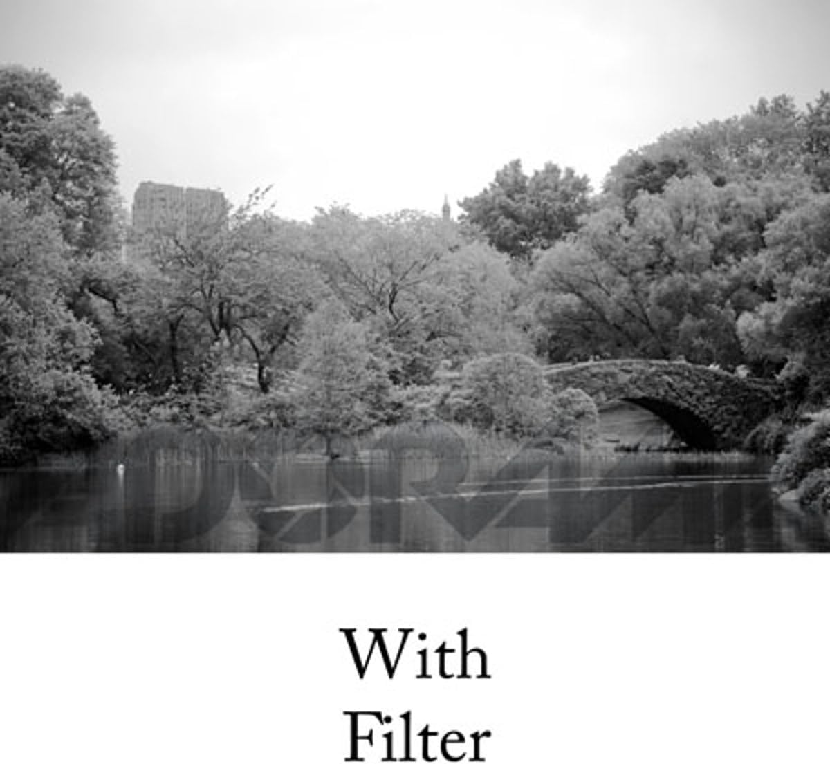 Tiffen 77mm 21 Orange Filter B&W Photography