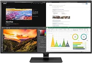 LG 43BN70U-B 43-Inch 4K UHD USB-C Monitor (Renewed)
