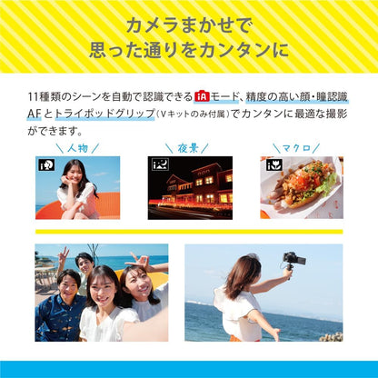 Panasonic LUMIX G100 4K Mirrorless Camera with 12-32mm & 45-150mm Lens Kit