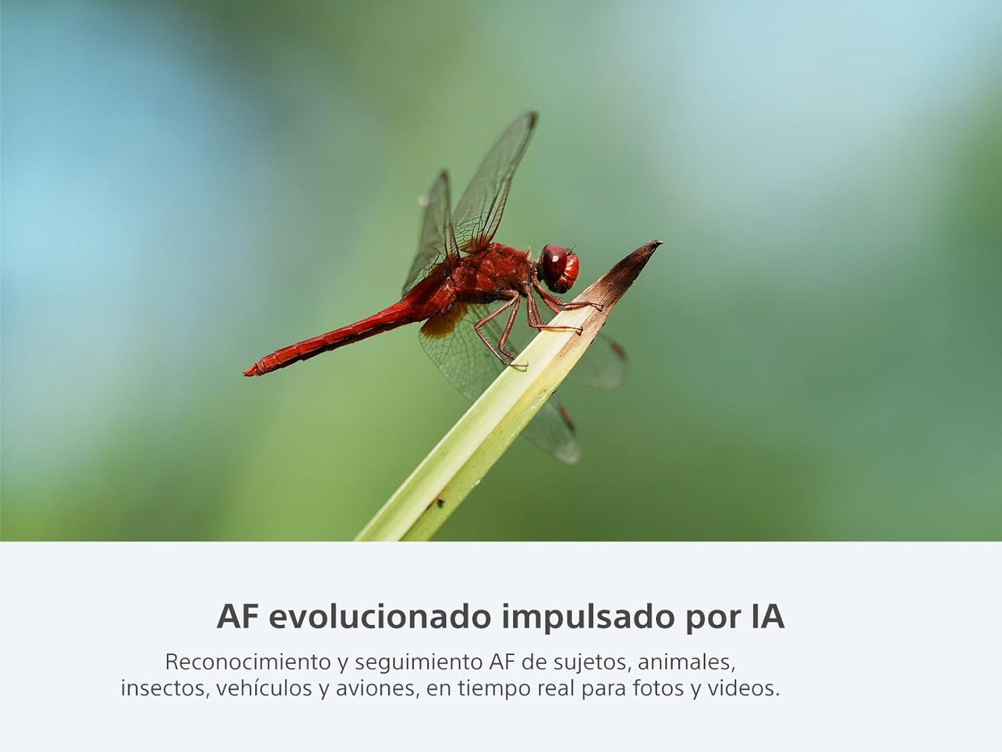 Sony Alpha 7CR Full-Frame Mirrorless Camera - Renewed