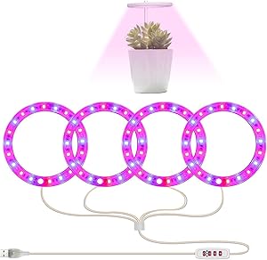 Dell PowerEdge R740 Server 2x Silver 4110 Renewed