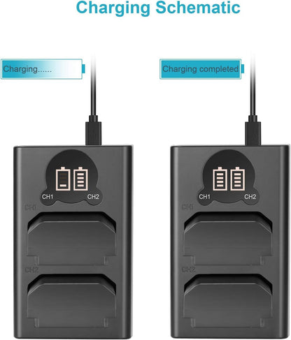 NEEWER NP-FZ100 2-Pack Battery Charger LCD for Sony Cameras