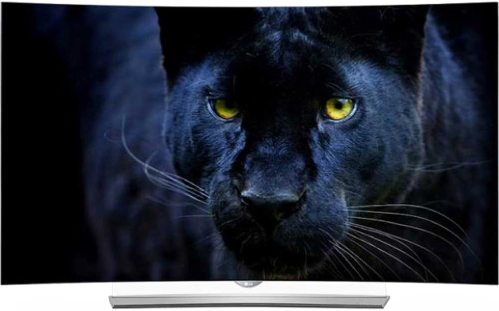 LG 65EG9600 65-Inch Curved 4K OLED TV Bundle