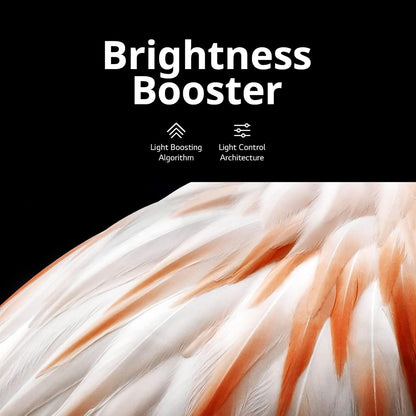 LG OLED83C3PUA 83-Inch OLED evo 4K Smart TV (Renewed)