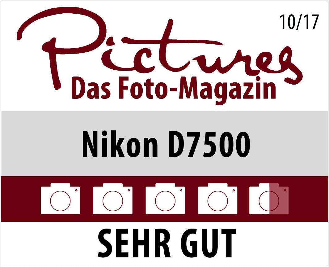 Nikon VBA510AE D7500 DX-Format Digital DSLR Camera Body