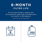 GE RPWFE2PK Refrigerator Water Filter, 2-Pack