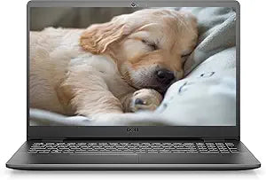 Dell Inspiron 3000 Laptop Celeron N4020 256GB SSD