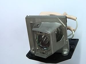Acer EC.JBU00.001 Replacement Lamp for X1261P/X1161P Projectors