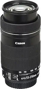 Canon EF-S55-250ISSTM 55-250mm f/4-5.6 IS STM Telephoto Lens — main product image