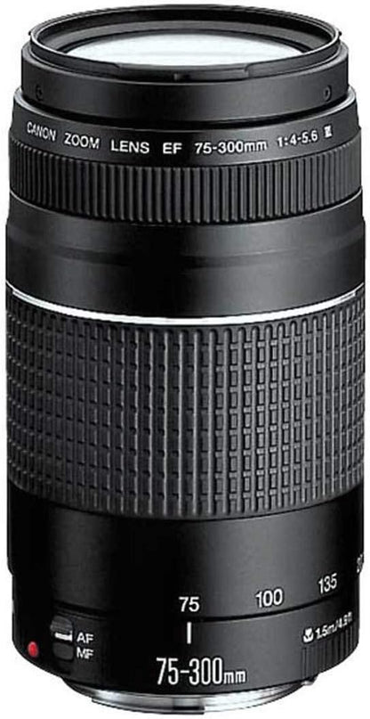 Canon 1159C003 EOS Rebel T6 DSLR Bundle