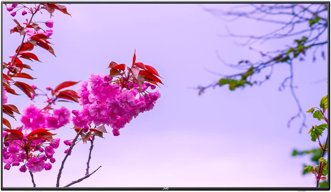 JVC LT-50MAW500 50" 4K Ultra HD LED TV Wall Mount Renewed