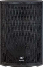 Peavey PVSP2 1000W 2-Way PA Speaker System