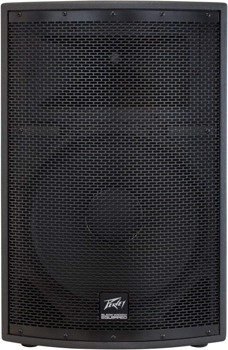 Peavey PVSP2 1000W 2-Way PA Speaker System — main product image