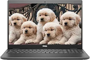 Dell Latitude 3510 15.6" HD i5 16GB RAM 256GB SSD Laptop